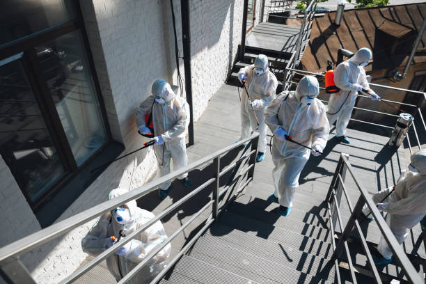 Best Emergency Mold Remediation  in Pu, HI