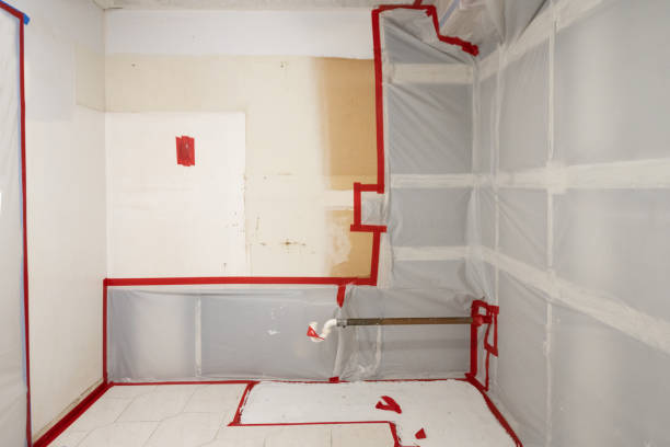 Best Mold Prevention Services  in Pu, HI