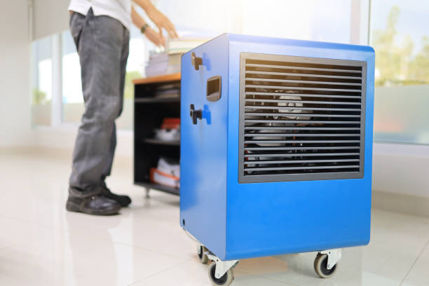 Best Attic Mold Removal  in Pu, HI